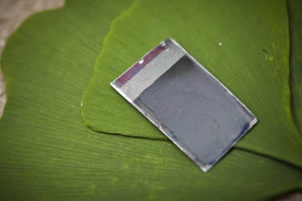 MIT 공대의 노체라 박사 연구진이 2010년 처음 개발・공개한 실리콘 소재의 인공 나뭇잎 프로토타입. Image: MIT News/Photo: Dominick Reuter