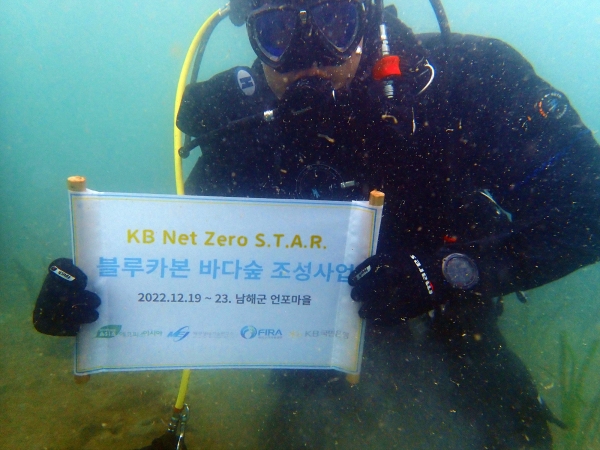 'KB Net Zero S.T.A.R. 블루카본 바다숲' 조성사업.[사진=KB국민은행]<br>