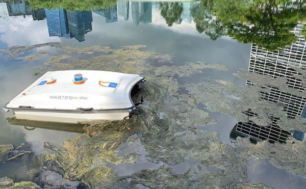 싱가포르의 수역에서 활동 중인 웨이스트샤크 수중 청소 드론. 물 속에 떠도는 플라스틱 쓰레기와 바이오매스를 수거하고 수질 정보를 수집하는 기능을 한다. © RanMarine Technology