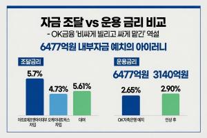 돈은 비싸게 빌리고 싸게 맡겼다...OK금융 '6477억 내부자금'의 역설 - 뉴스 썸네일 이미지