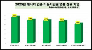 [데이터 뉴스룸] 에너지업체 50곳 중 22곳 임원 연봉 2억 넘어...인천도... - 뉴스 썸네일 이미지