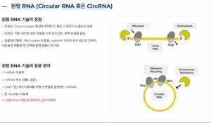 [K CAR-T 열전] 글로벌 '인비보 CAR-T' 순류 탄 알지노믹스...RNA 전달 플... - 뉴스 썸네일 이미지