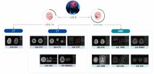 제이엘케이, 156억 규모 뇌졸중 플랫폼 개발 수주…'에이전틱 AI' 확장 잰걸음